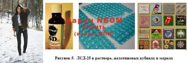 прущие грибы Новозыбков