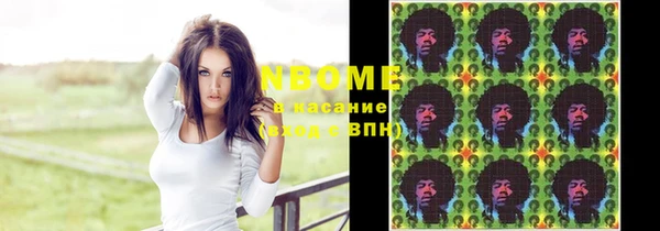 прущие грибы Новозыбков