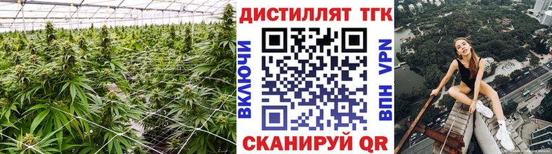 Дистиллят ТГК концентрат Туран