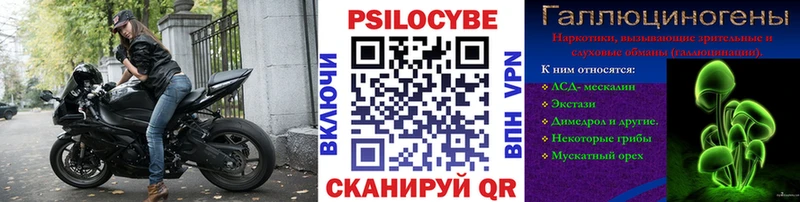 Псилоцибиновые грибы прущие грибы  Купить  Туран 